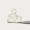 raw garden disposable review