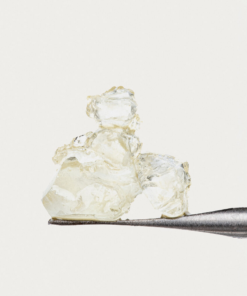 raw garden disposable review​